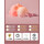 小趴菜-粉色(3挡调节+手机支架+