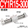 CY1R15-300