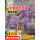 开东阁紫藤1棵/粗1.5cm长2.5-3米