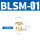BSLM-01
