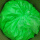 荧光绿 1公斤
