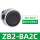 ZB2BA2C 黑色平头按钮头