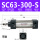 SC63-300-S 带磁