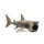 姥鲨