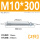 M10*300(2只)