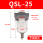 QSL-251寸/10公斤