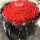 R款520朵红玫瑰花束