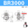 BR3000 带表带支架