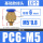 PC6-M5 (10个)