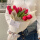 M款10朵红色郁金香花束