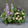 湖蓝色森系紫千代兰排花
