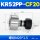 CF20(KR52PP)