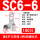 SC6-6_(100只)
