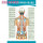 脊柱相关疾病的脊背触诊诊