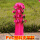 42朵粉色+玫红 PVC塑料支架款