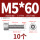 M5*60(10个)