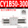 CY1B50-300