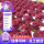 紫叶生菜约3000粒