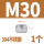 M30（1粒）304