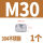 M30 (1个)