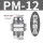 白盖PM12