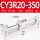 CY3R20350