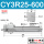 CY3R25-600
