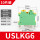 USLKG6(10片)