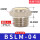 BSLM-04 平头消音器