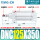 DNC125350PPVA