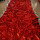 红色褶皱款1.8米宽每米价 按米
