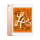 256GB iPad mini5【金色】 官方标配