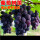 黑加仑树葡萄3年苗