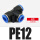 PE12