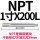 NPT1寸X200MM加长