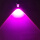 单面发光3W-紫光