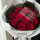 19朵红玫瑰【真爱唯一】浪漫的不是玫瑰而是