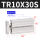 TR10X30S