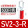 SV2-3-R