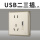 USB二三极插座2.1A