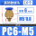 基础款PC6M5 (10个)