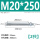 M20*250(2只)