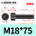 M18*75全/半(10支)