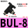BUL-8（10件）