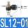 SL12-01