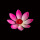 10个粉色【15CM】单层花瓣