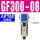 过滤器GF300-08