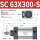 SC63X300S