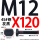 M12X120【45#钢T型】