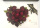 爱心红玫瑰+相框(材料包)